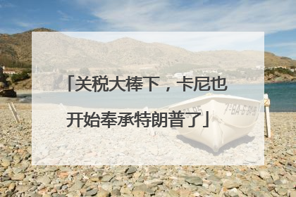 关税大棒下，卡尼也开始奉承特朗普了
