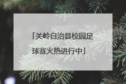 关岭自治县校园足球赛火热进行中