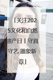 关注2025文化和自然遗产日丨守真守艺 器象新章