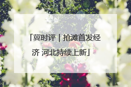 冀时评｜抢滩首发经济 河北持续上新