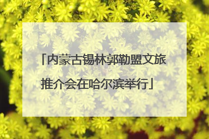 内蒙古锡林郭勒盟文旅推介会在哈尔滨举行