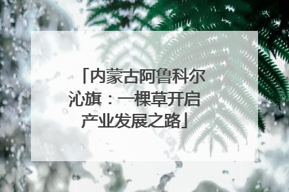 内蒙古阿鲁科尔沁旗：一棵草开启产业发展之路