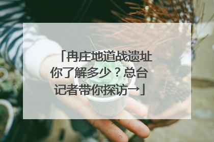 冉庄地道战遗址你了解多少？总台记者带你探访→