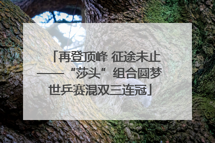 再登顶峰 征途未止——“莎头”组合圆梦世乒赛混双三连冠