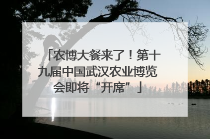 农博大餐来了！第十九届中国武汉农业博览会即将“开席”