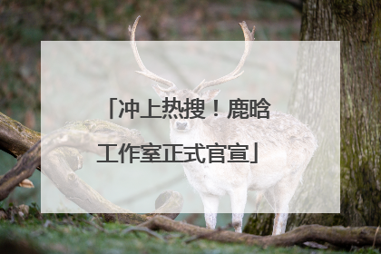 冲上热搜！鹿晗工作室正式官宣