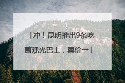 冲！昆明推出9条吃菌观光巴士，票价→