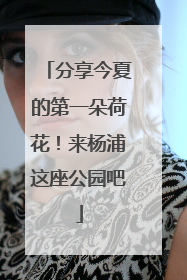 分享今夏的第一朵荷花！来杨浦这座公园吧