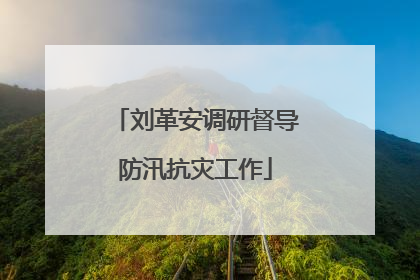 刘革安调研督导防汛抗灾工作