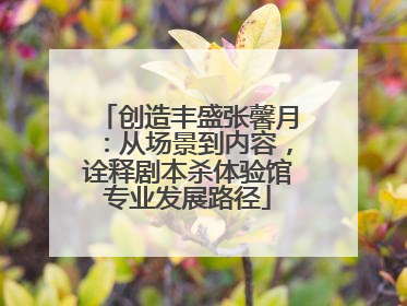 创造丰盛张馨月：从场景到内容，诠释剧本杀体验馆专业发展路径