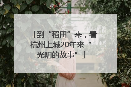 到“稻田”来，看杭州上城20年来“光阴的故事”