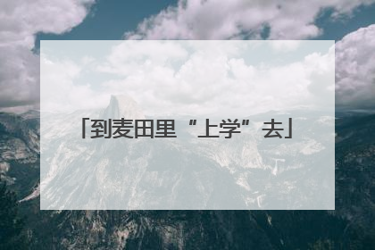 到麦田里“上学”去