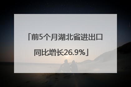 前5个月湖北省进出口同比增长26.9%