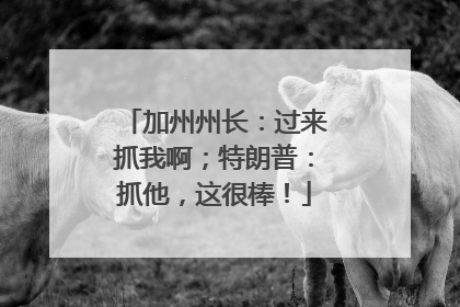 加州州长：过来抓我啊；特朗普：抓他，这很棒！