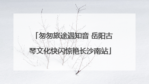 匆匆旅途遇知音 岳阳古琴文化快闪惊艳长沙南站