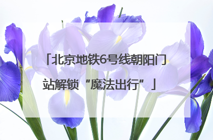 北京地铁6号线朝阳门站解锁“魔法出行”