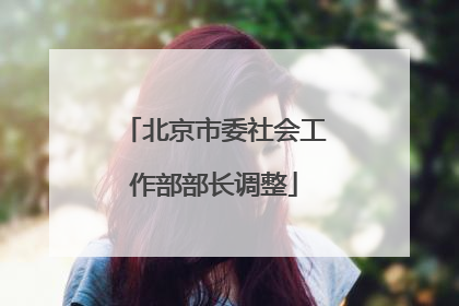 北京市委社会工作部部长调整