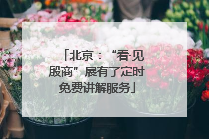 北京：“看·见殷商”展有了定时免费讲解服务