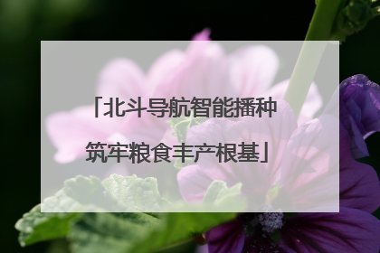 北斗导航智能播种 筑牢粮食丰产根基