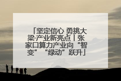 坚定信心 勇挑大梁·产业新亮点丨张家口算力产业向“智变”“绿动”跃升