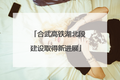 合武高铁湖北段建设取得新进展