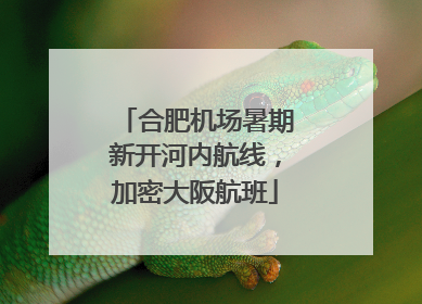 合肥机场暑期新开河内航线，加密大阪航班