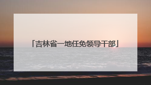 吉林省一地任免领导干部