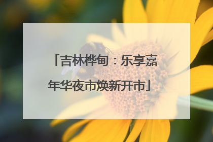 吉林桦甸：乐享嘉年华夜市焕新开市