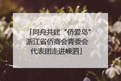 同舟共建“侨爱岛” 浙江省侨商会青委会代表团走进嵊泗