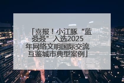喜报！小江豚“蓝叒叒”入选2025年网络文明国际交流互鉴城市典型案例