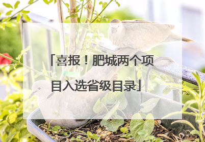 喜报！肥城两个项目入选省级目录