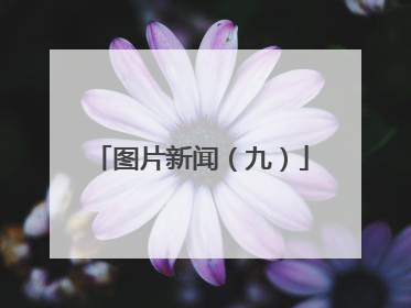 图片新闻（九）