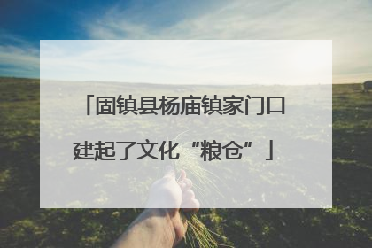 固镇县杨庙镇家门口建起了文化“粮仓”