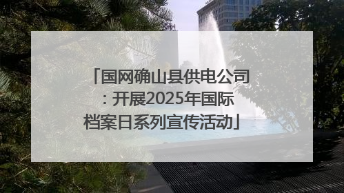 国网确山县供电公司：开展2025年国际档案日系列宣传活动