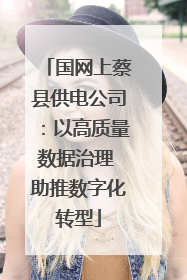 国网上蔡县供电公司：以高质量数据治理 助推数字化转型