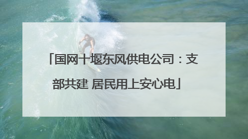 国网十堰东风供电公司：支部共建 居民用上安心电