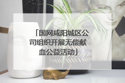 国网咸阳城区公司组织开展无偿献血公益活动