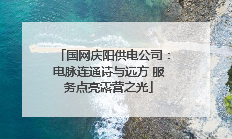 国网庆阳供电公司：电脉连通诗与远方 服务点亮露营之光