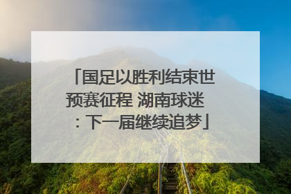 国足以胜利结束世预赛征程 湖南球迷：下一届继续追梦
