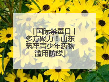 国际禁毒日丨多方聚力！山东筑牢青少年药物滥用防线