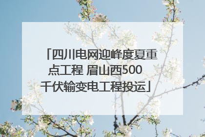 四川电网迎峰度夏重点工程 眉山西500千伏输变电工程投运