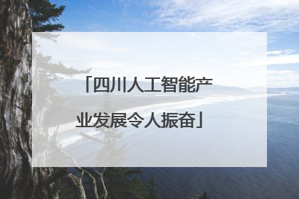 四川人工智能产业发展令人振奋