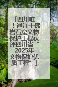 四川唯一！通江千佛岩石窟文物保护工程获评四川省“2025年文物保护优质工程”