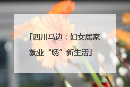 四川马边：妇女居家就业“绣”新生活