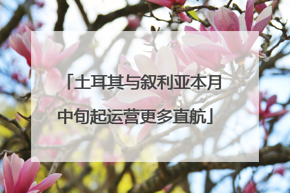 土耳其与叙利亚本月中旬起运营更多直航