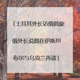 土耳其外长访俄斡旋 俄外长说愿在伊斯坦布尔与乌克兰再谈