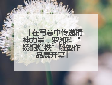 在写意中传递精神力量，罗湘科“锈铜烂铁”雕塑作品展开幕