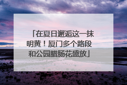 在夏日邂逅这一抹明黄！厦门多个路段和公园腊肠花盛放