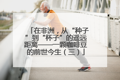 在非洲，从“种子”到“杯子”的遥远距离——一颗咖啡豆的前世今生（三）