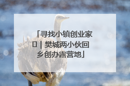 寻找小镇创业家㊳｜樊城两小伙回乡创办露营地